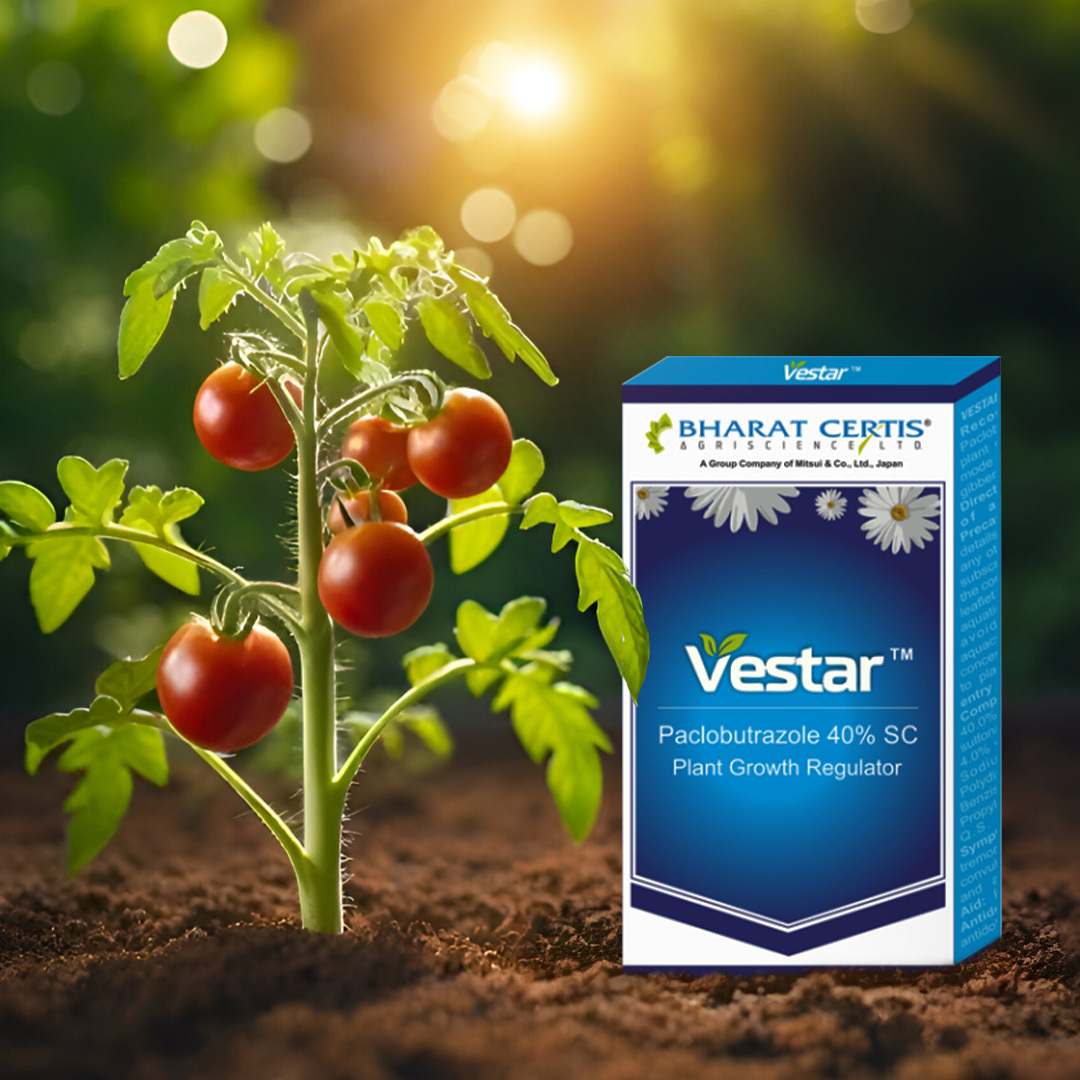 Vestar: Enhancing Fruit & Succulent Growth